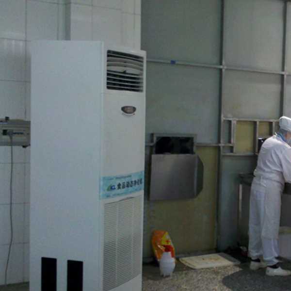 天门食品正负离子空气杀菌器